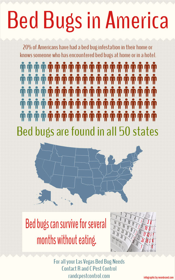 Bed Bugs Infographic